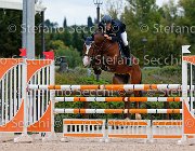 COLOMBO Sir Luis GioCav2013 S5 3005 : COLOMBO Alessandro, Campionati Italiani Giovani Cavalli, Cattolica, Sir Luis, ph Stefano Secchi ©